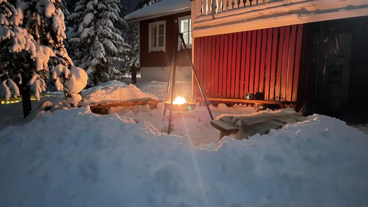 Mountain Cabin لوفسدالين المظهر الخارجي الصورة