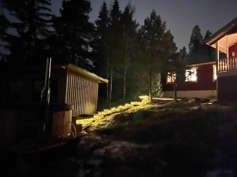 Mountain Cabin لوفسدالين المظهر الخارجي الصورة