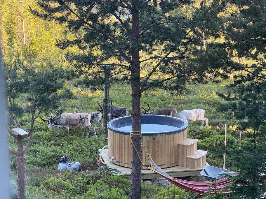 Mountain Cabin لوفسدالين المظهر الخارجي الصورة