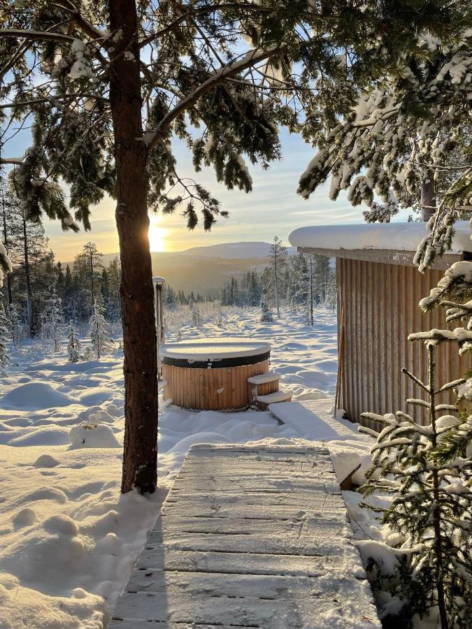Mountain Cabin لوفسدالين المظهر الخارجي الصورة