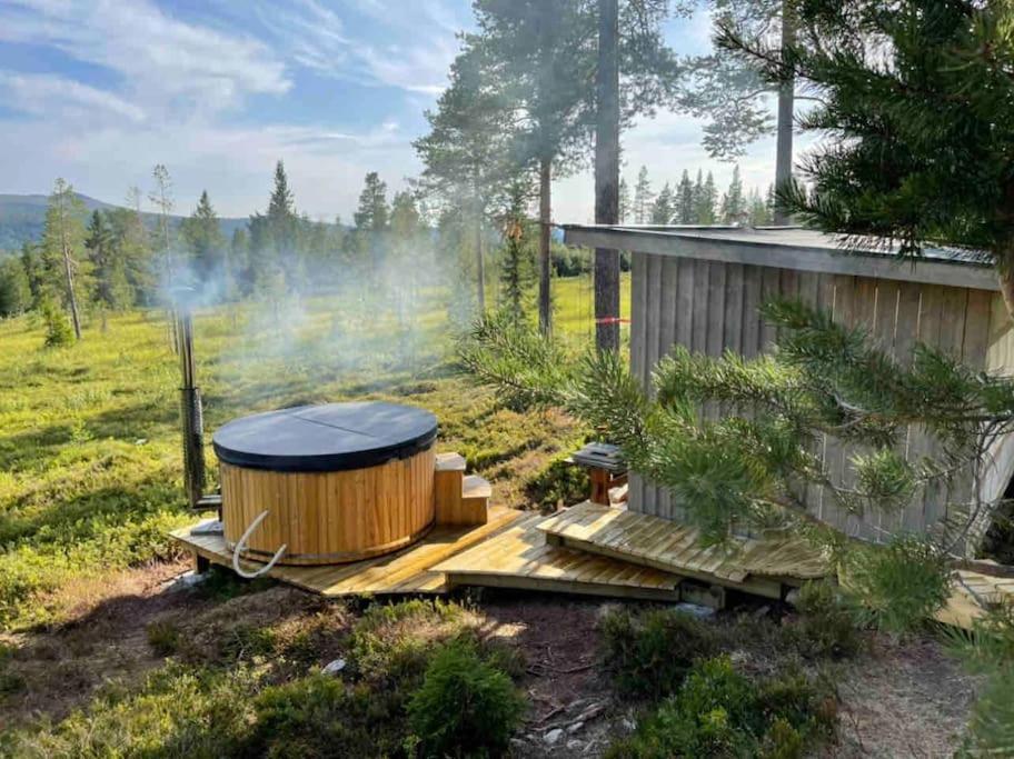 Mountain Cabin لوفسدالين المظهر الخارجي الصورة