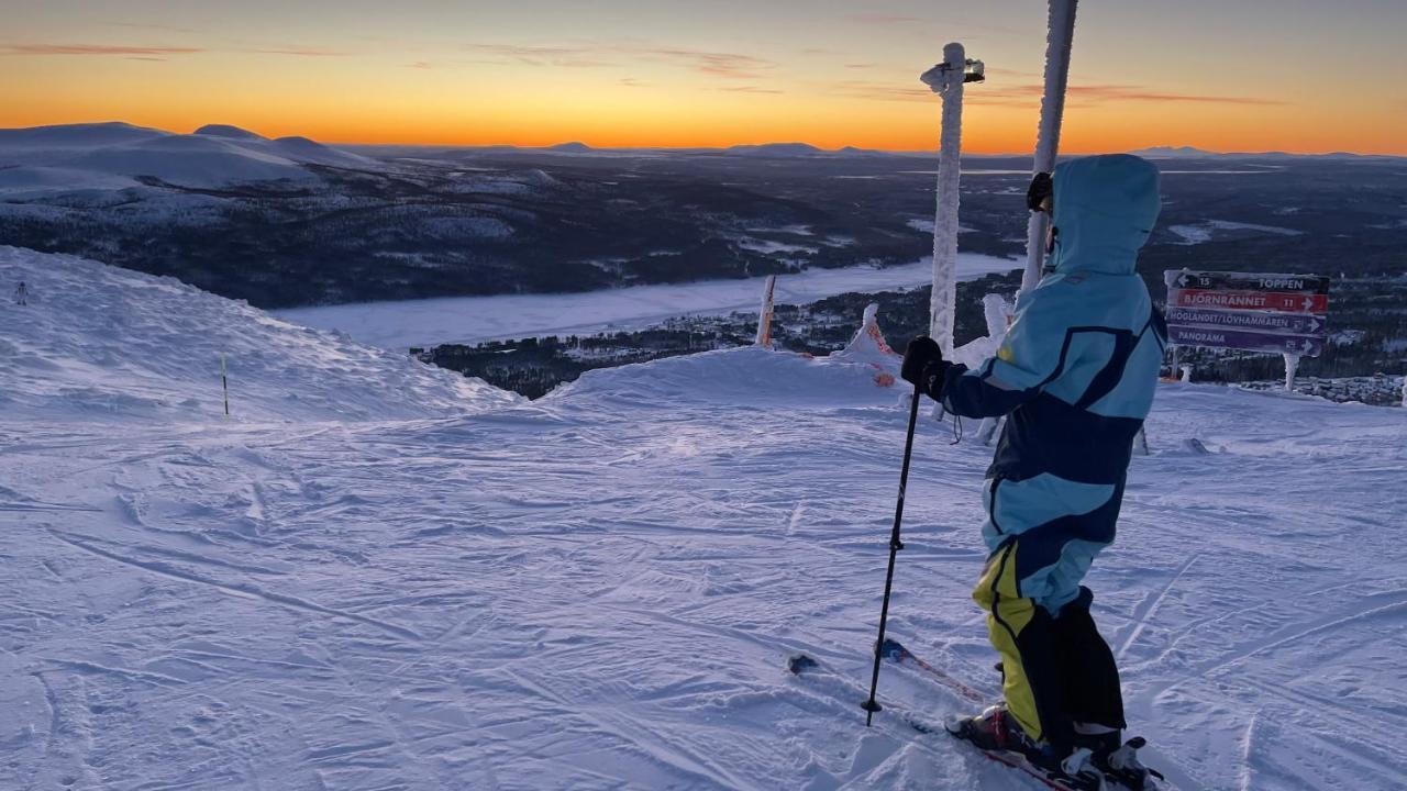 Mountain Cabin لوفسدالين المظهر الخارجي الصورة