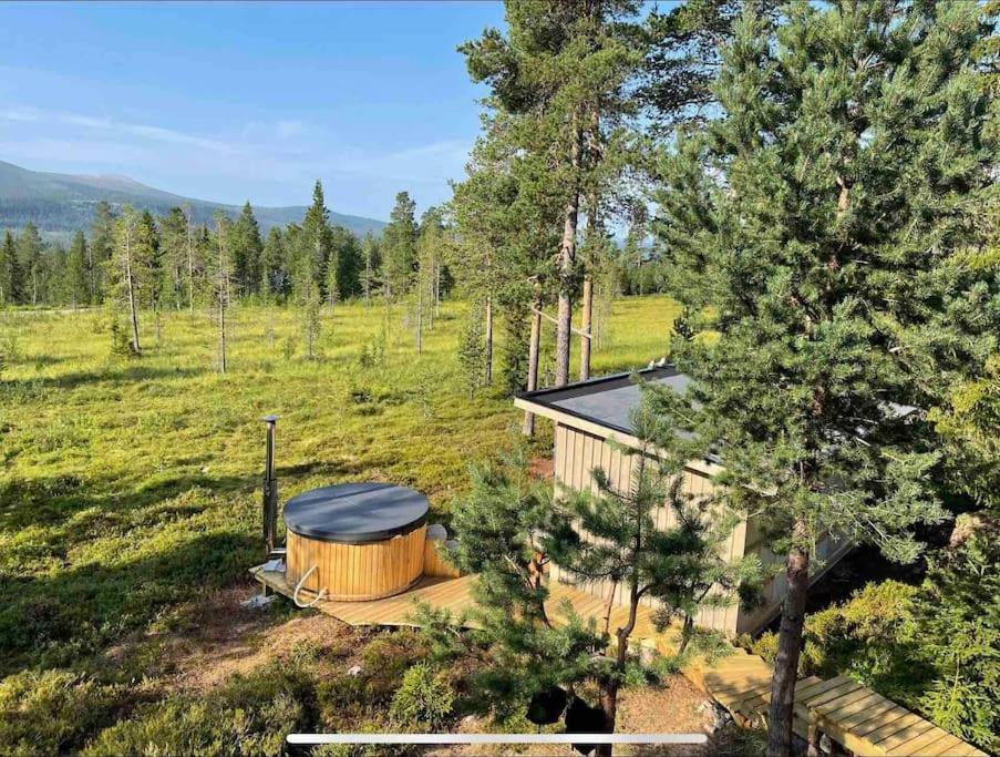 Mountain Cabin لوفسدالين المظهر الخارجي الصورة