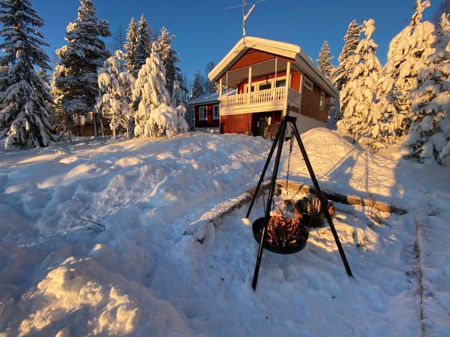 Mountain Cabin لوفسدالين المظهر الخارجي الصورة