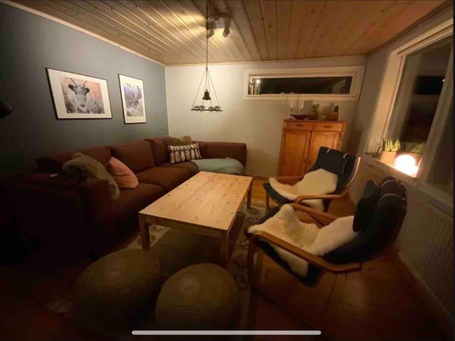 Mountain Cabin لوفسدالين المظهر الخارجي الصورة