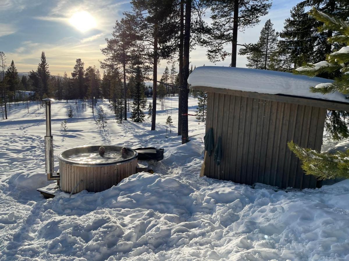 Mountain Cabin لوفسدالين المظهر الخارجي الصورة