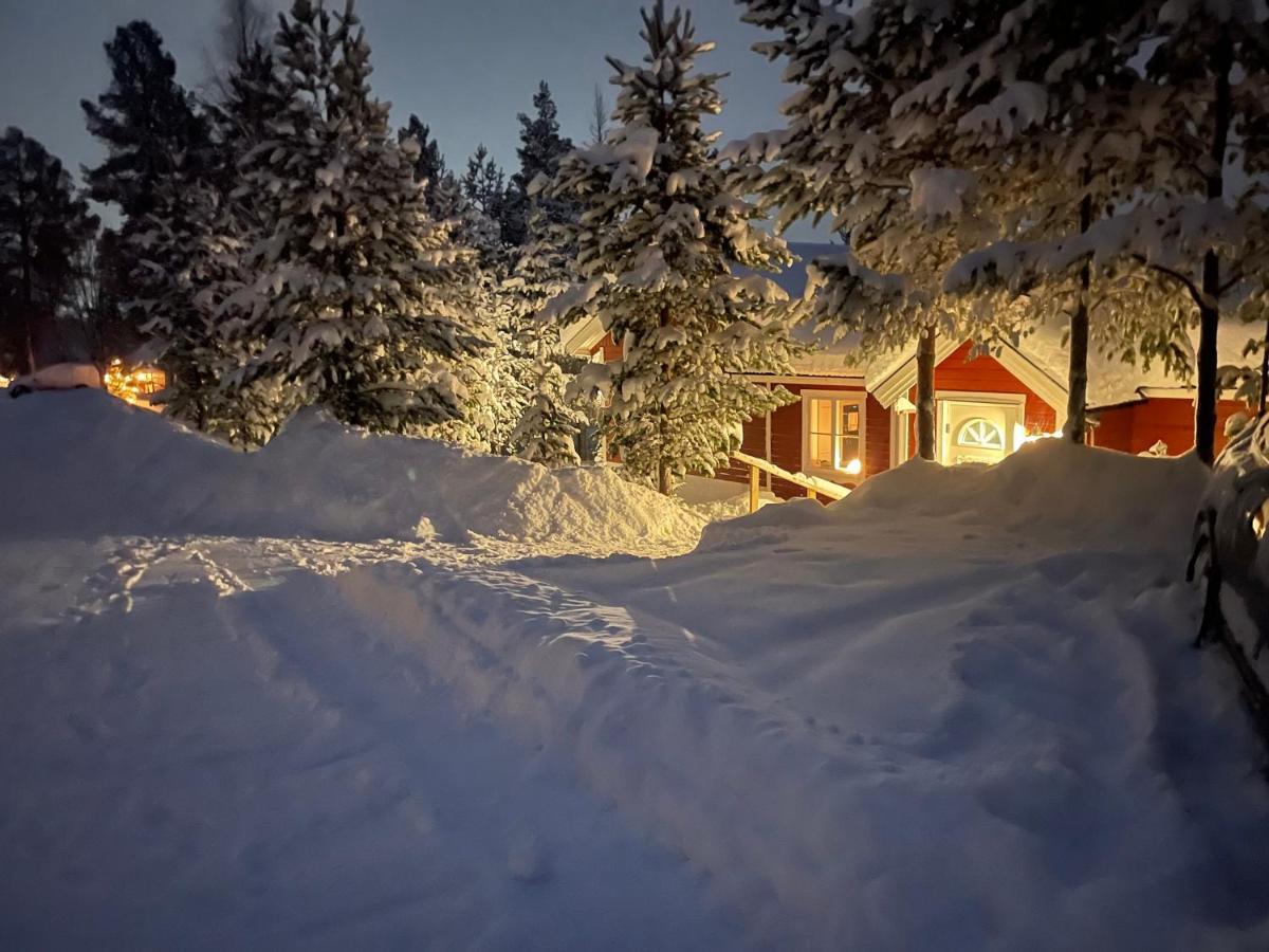 Mountain Cabin لوفسدالين المظهر الخارجي الصورة