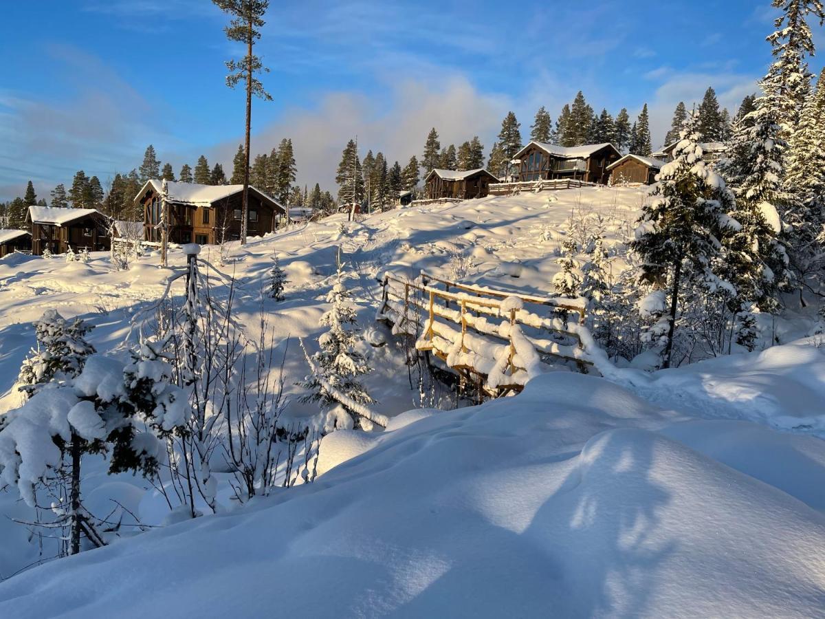 Mountain Cabin لوفسدالين المظهر الخارجي الصورة