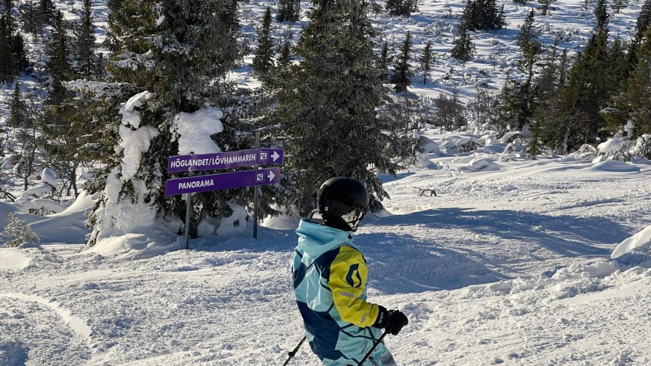 Mountain Cabin لوفسدالين المظهر الخارجي الصورة