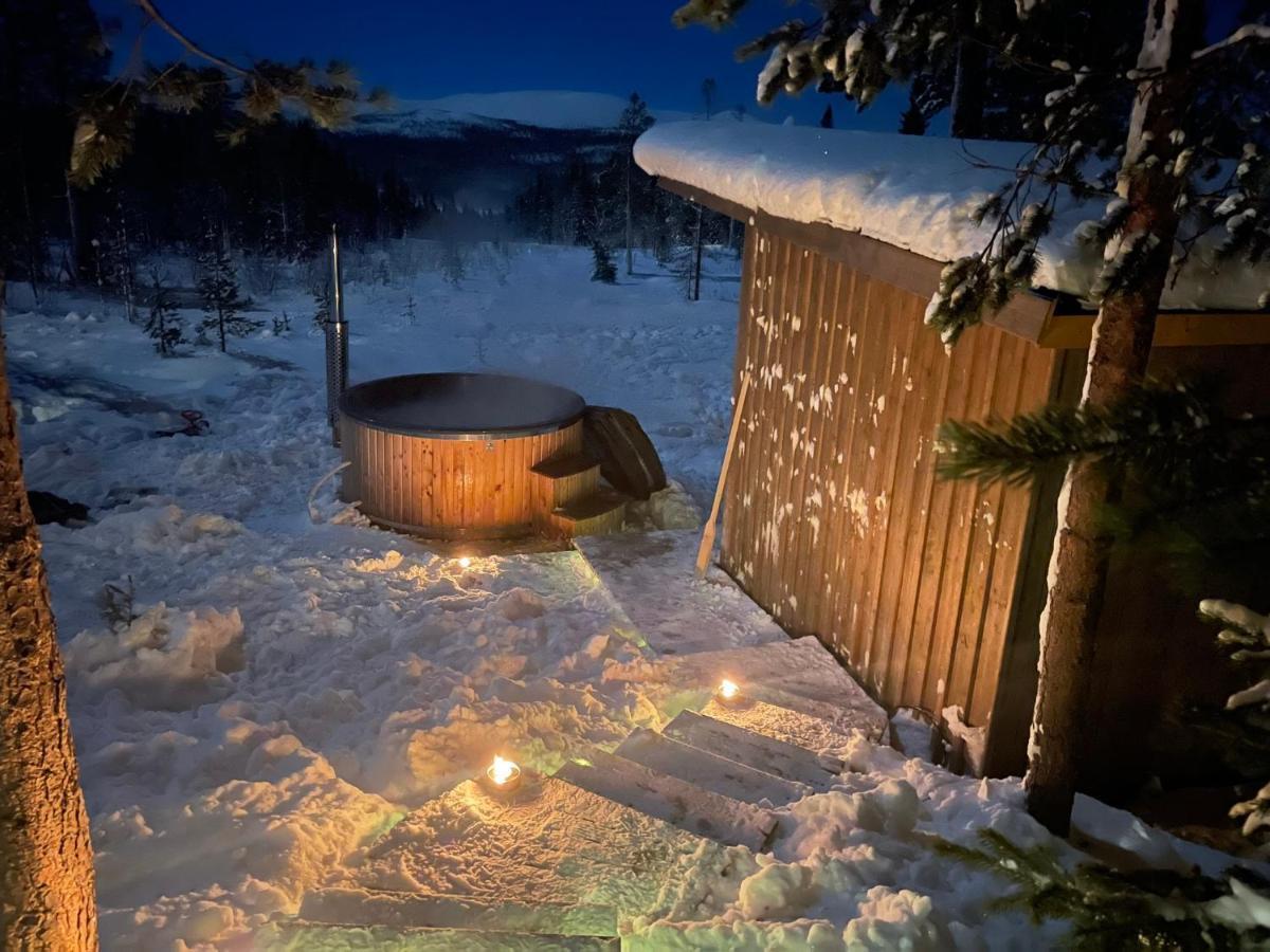 Mountain Cabin لوفسدالين المظهر الخارجي الصورة