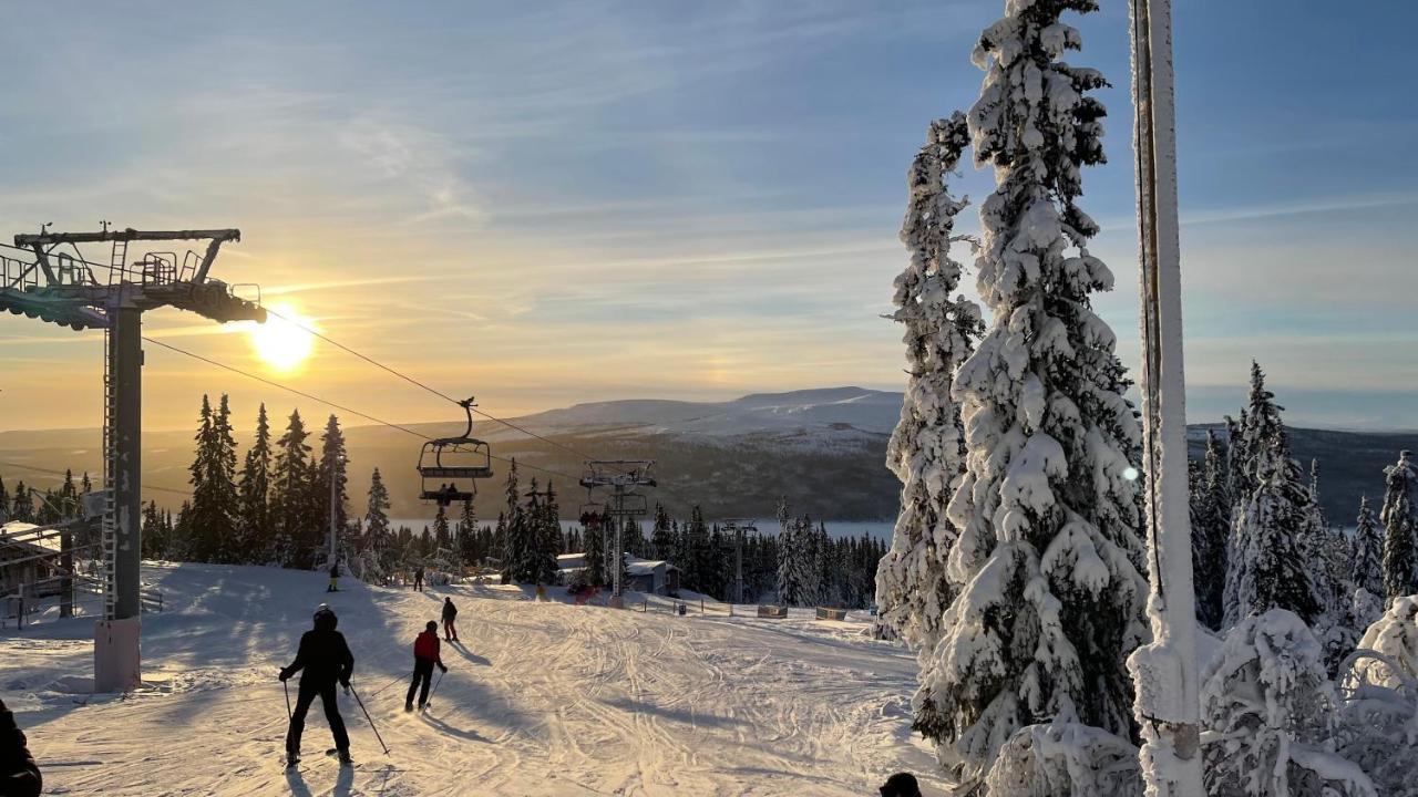 Mountain Cabin لوفسدالين المظهر الخارجي الصورة