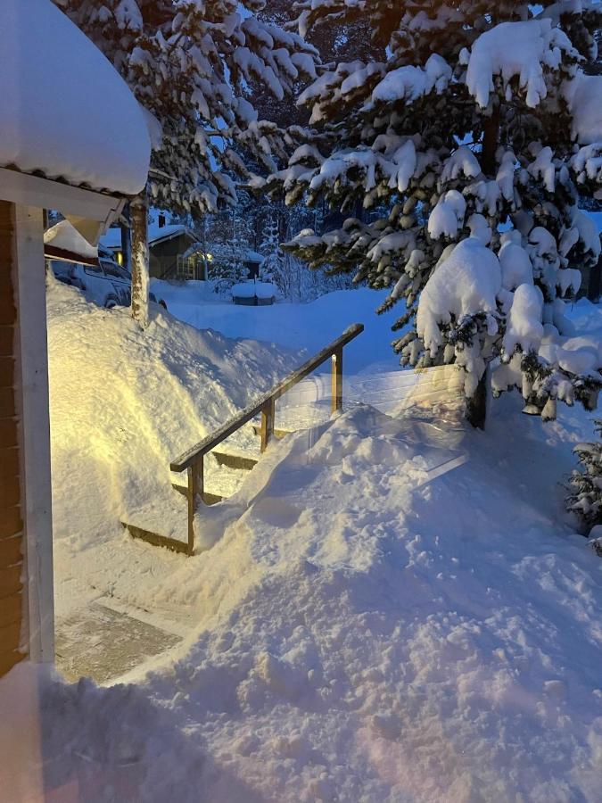 Mountain Cabin لوفسدالين المظهر الخارجي الصورة
