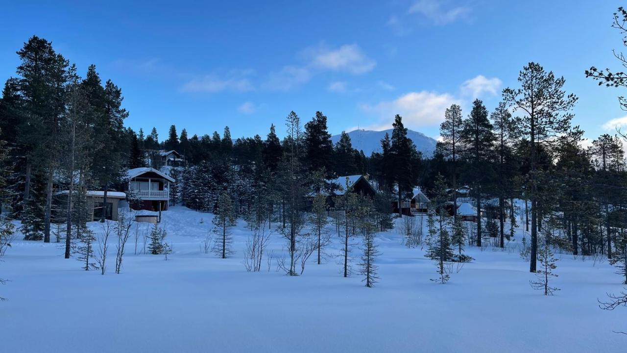 Mountain Cabin لوفسدالين المظهر الخارجي الصورة