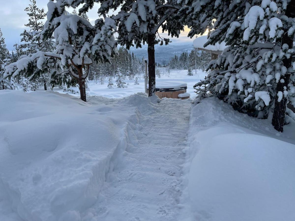 Mountain Cabin لوفسدالين المظهر الخارجي الصورة