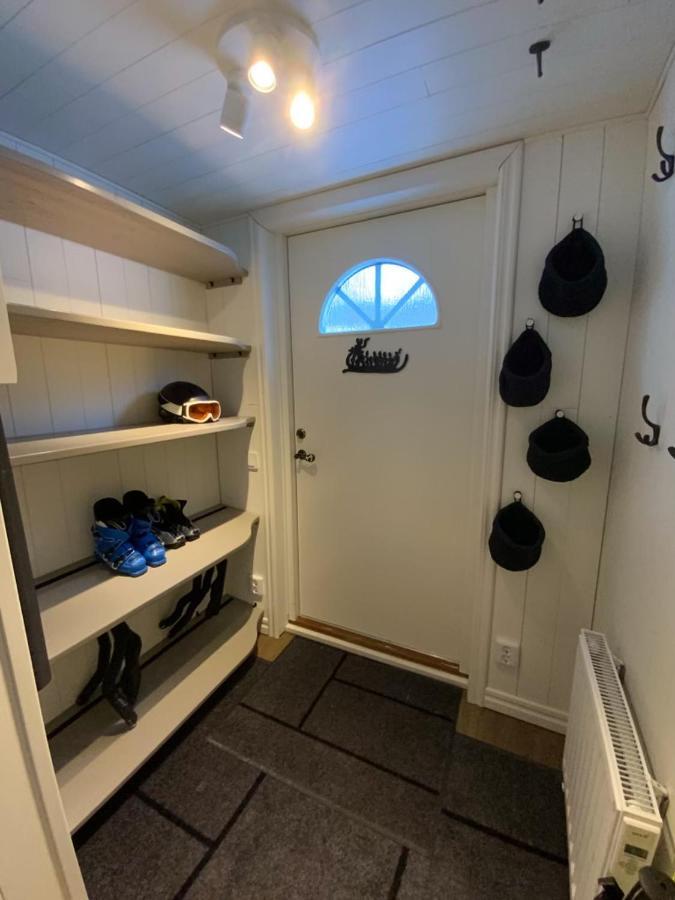 Mountain Cabin لوفسدالين المظهر الخارجي الصورة
