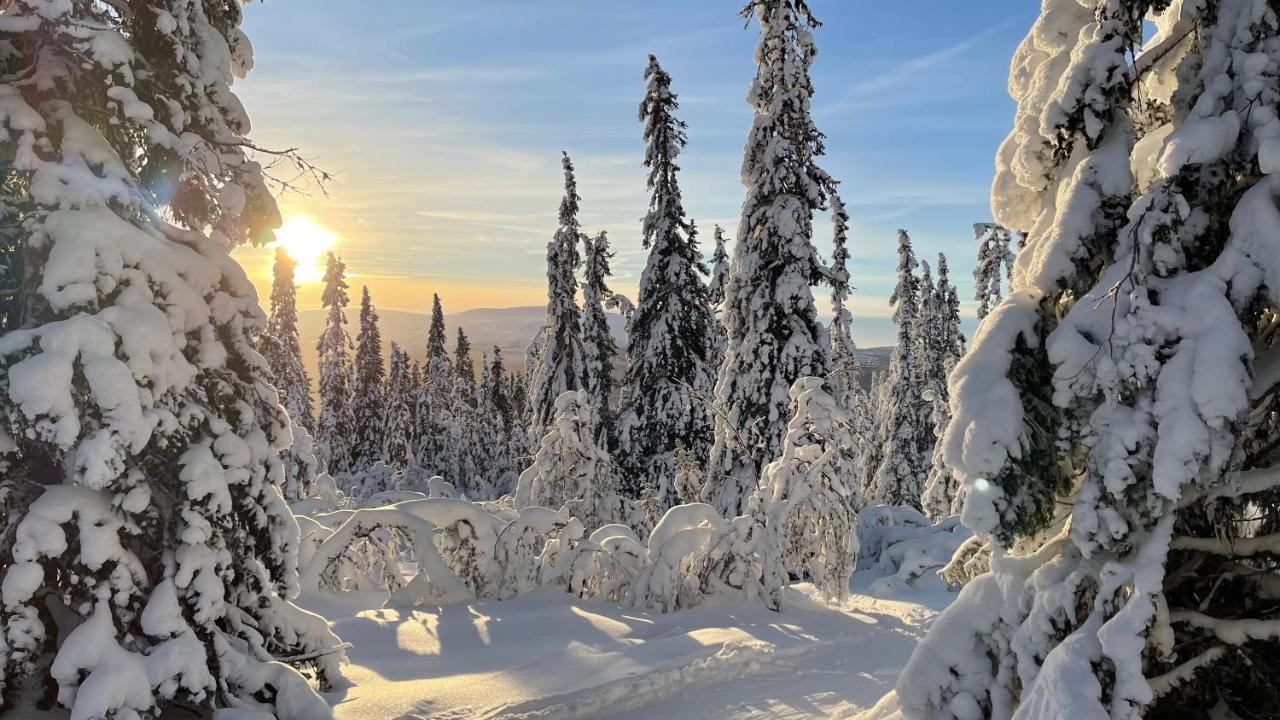 Mountain Cabin لوفسدالين المظهر الخارجي الصورة