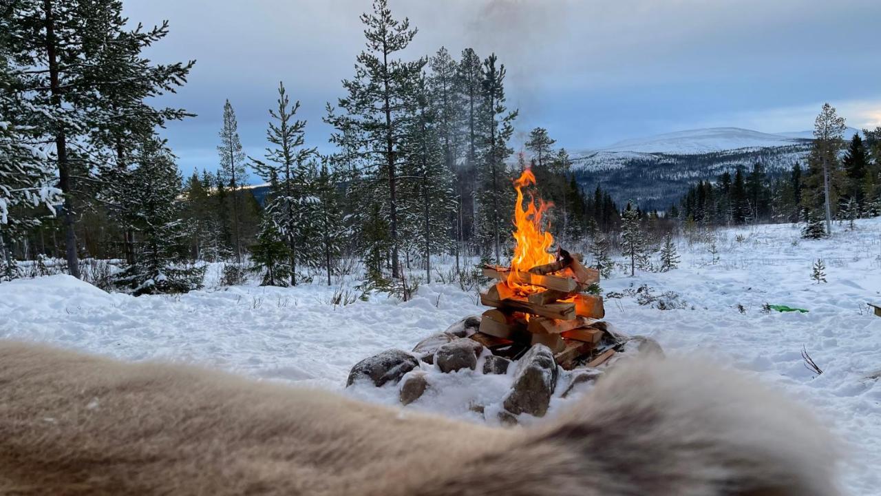 Mountain Cabin لوفسدالين المظهر الخارجي الصورة