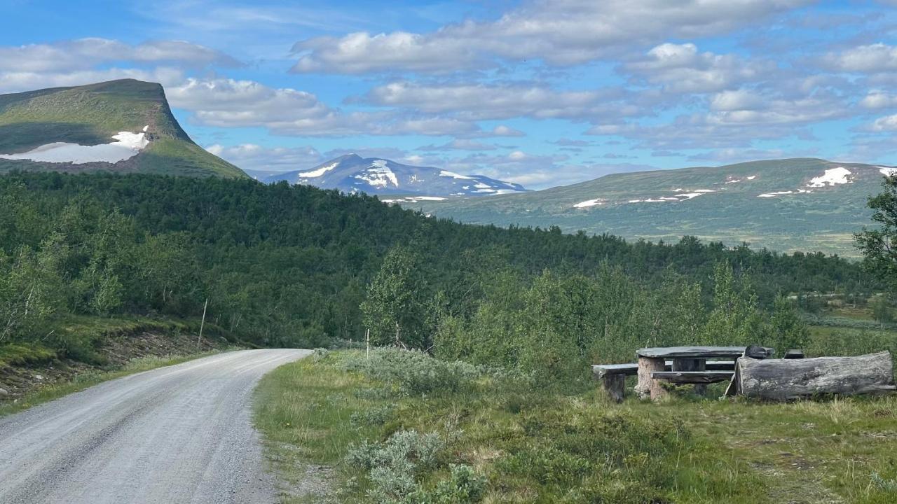 Mountain Cabin لوفسدالين المظهر الخارجي الصورة